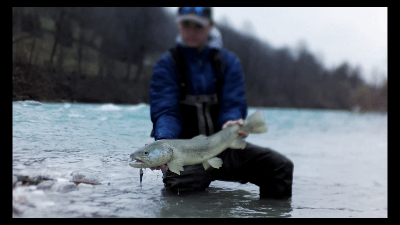 marble rout slovenia fly fishing