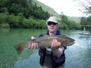 Sava rainbow trout