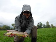 Katia and good brown trout, chalk s.