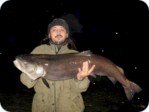 Danube salmon