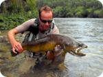 marble trout