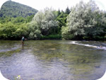 Krka