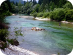 Sava