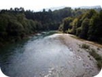 Sava