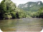 Kolpa