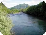 Kolpa