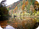 fall