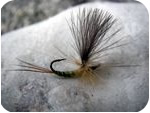 flies 