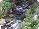 Kokra