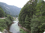 Sava