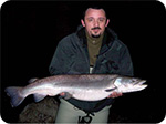 Danube salmon