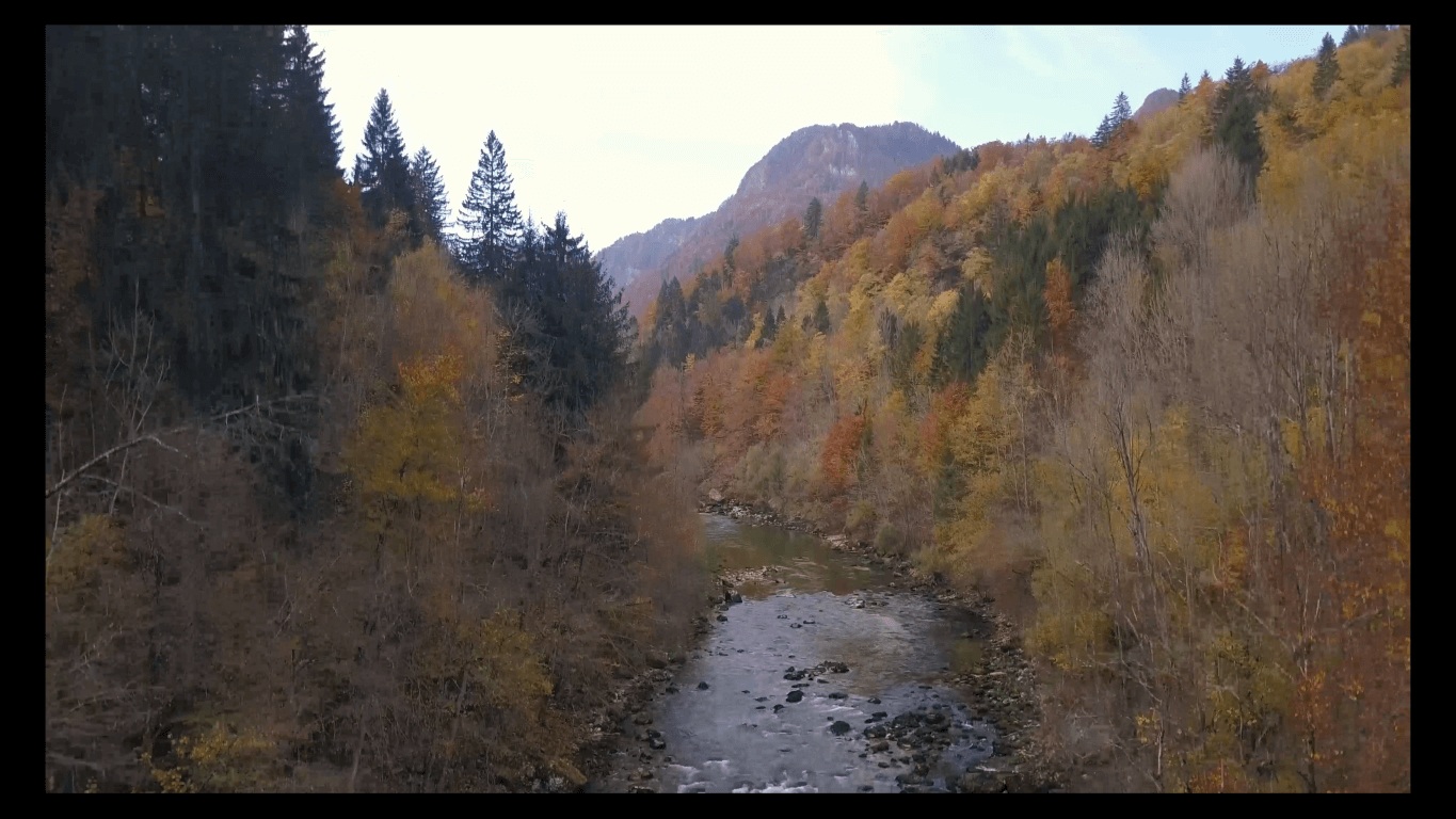 autumn video slovenia fly fishing