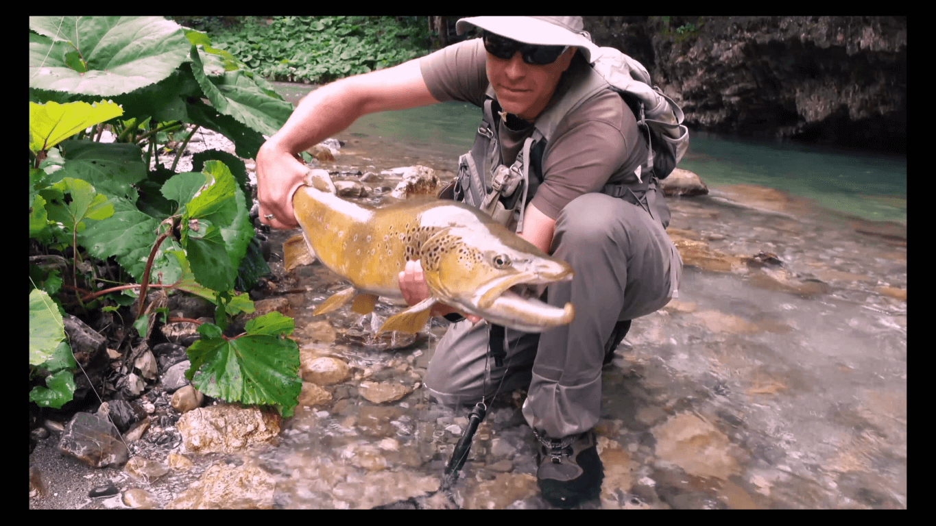 brown trout slovenia fly fishing