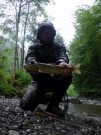 Good Marble trout May 2011