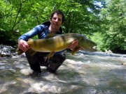 John monster Marble trout Slovenia June