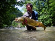 John monster Marble trout Slovenia June I.