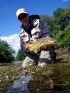 Rob and chalk stream Brown trout Slovenia, July