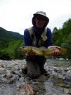 Good size Marble trout June 2011