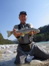 Great Marble trout of Soca August