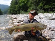 Great Marble trout, July