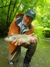Kent and marble trout, 2013 May