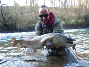 Lustrik and Huchen, Danube taimen, Salmon, So. Slovenia