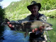 Rainbow trout in May