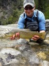 hybrid, Marble - Brown trout, Sept.
