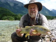 David and Marble trout, June