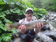 Great Marble trout, July