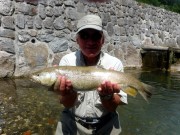 Gery and Marble trout, July