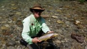 Great TB Brown trout