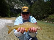 Great Grayling in May