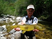 Excellent Marble trout, May