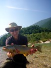Kent and Marble trout, June