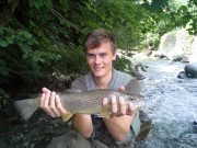 Mikkel and Co. Marble trout