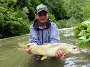 Tom and Marble trout, August