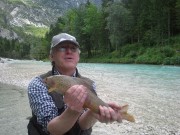 Great Grayling, S