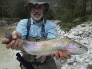 Good Rainbow trout, Alps