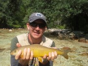 Grayling from July