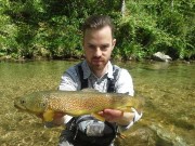 Marble-trout-in-april-2016, small steam
