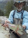 Great Rainbow, Sept