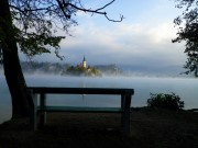 Bled in the morning