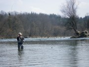 Fishing the Sava