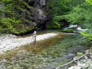 Catching trout in Slovenias small streams