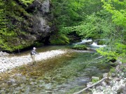 Fishing Slovenias small streams