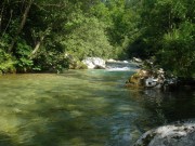 Kokra river Slovenia