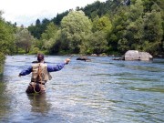 Rob fishing the Sava