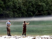 Mist and fishing