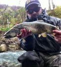 Nicolaj and Co. April Marble trout I.
